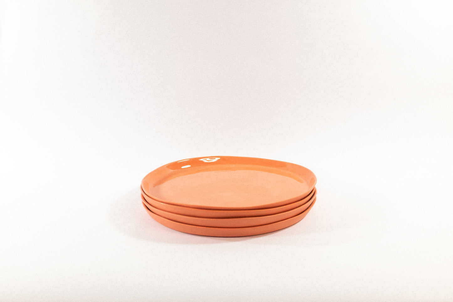 Strong Salmon Dinner Plate Set