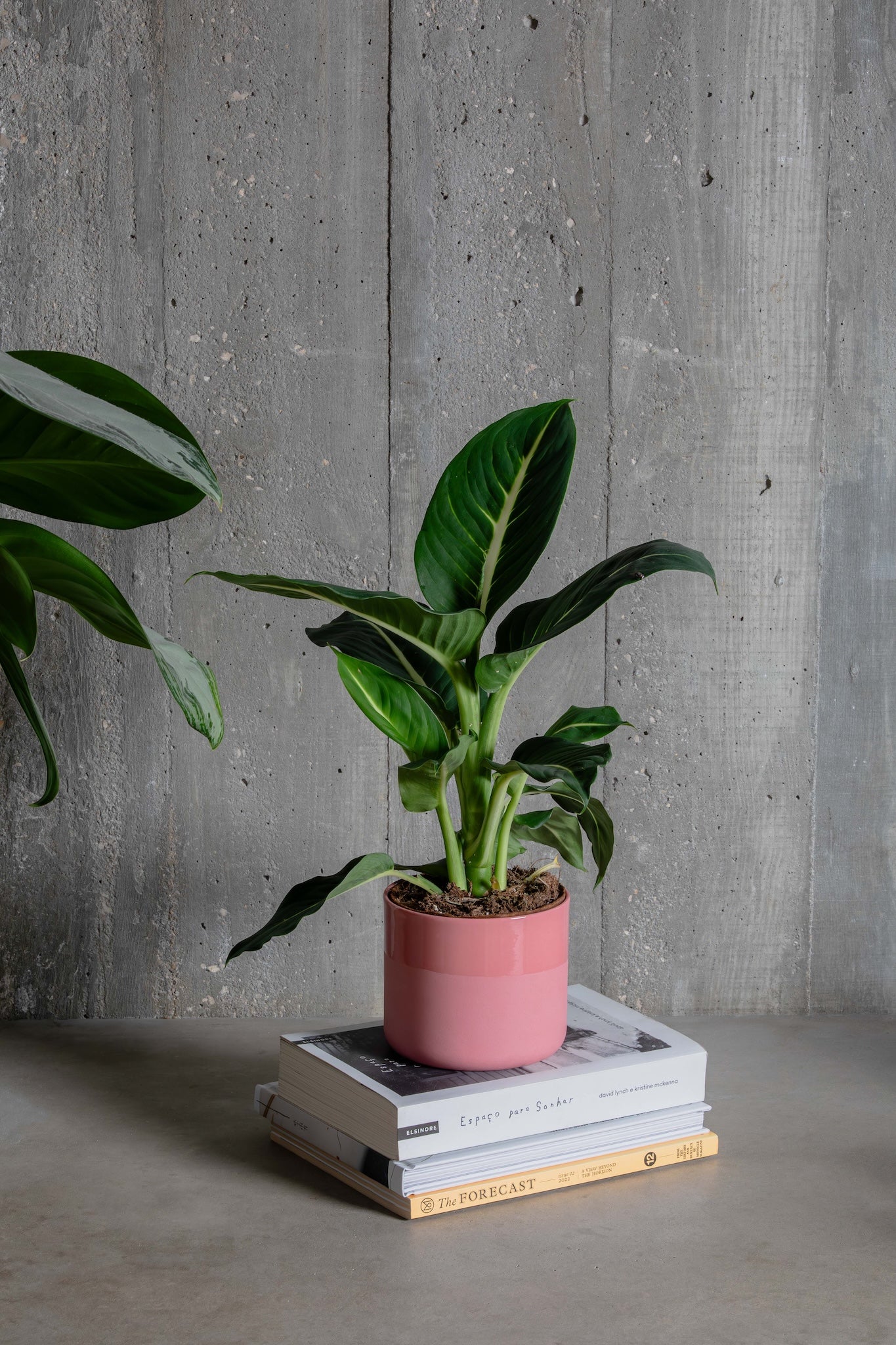 Planter