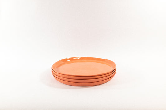 Strong Salmon Dinner Plate Set