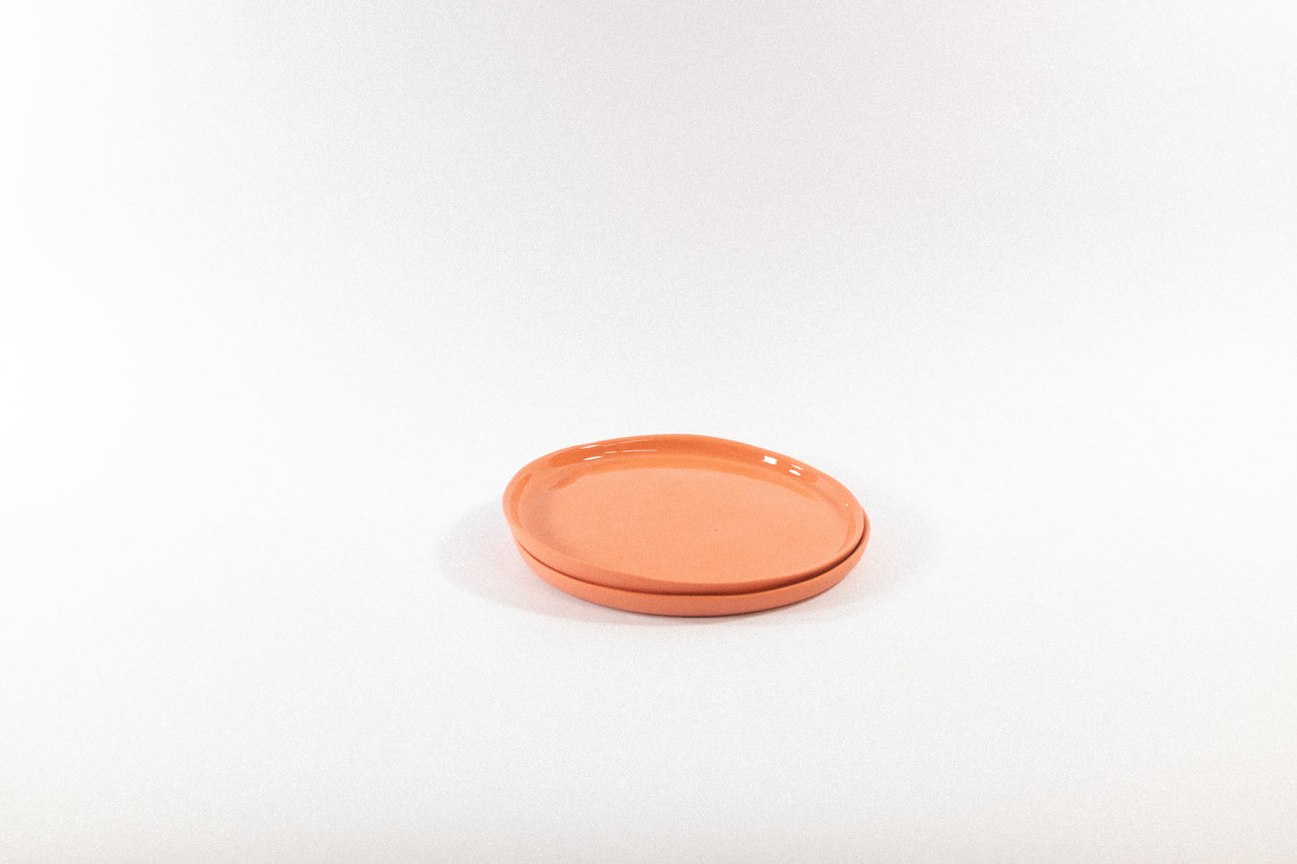 Strong Salmon Dessert Plate Set